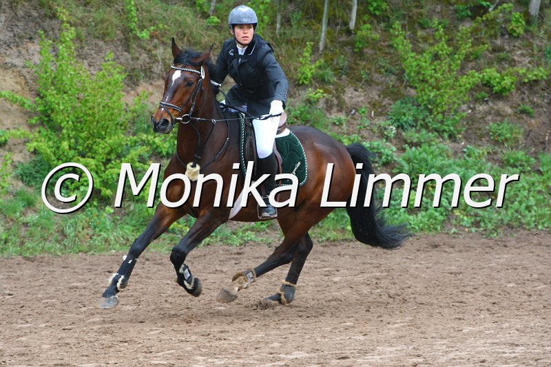 005L4781_Dargolan_Spring  Ax.JPG